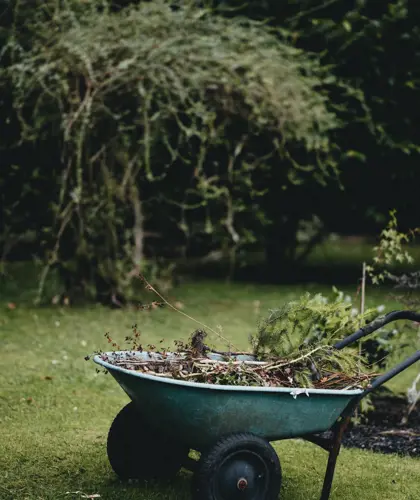 Havearbejde i efteråret: Sådan forbereder du din have til vinteren